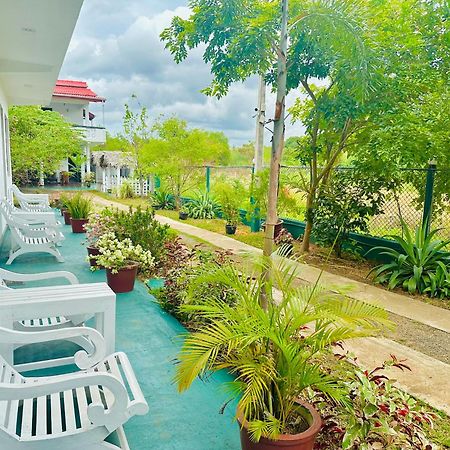 New Peacock Resort ดัมบูลลา ภายนอก รูปภาพ