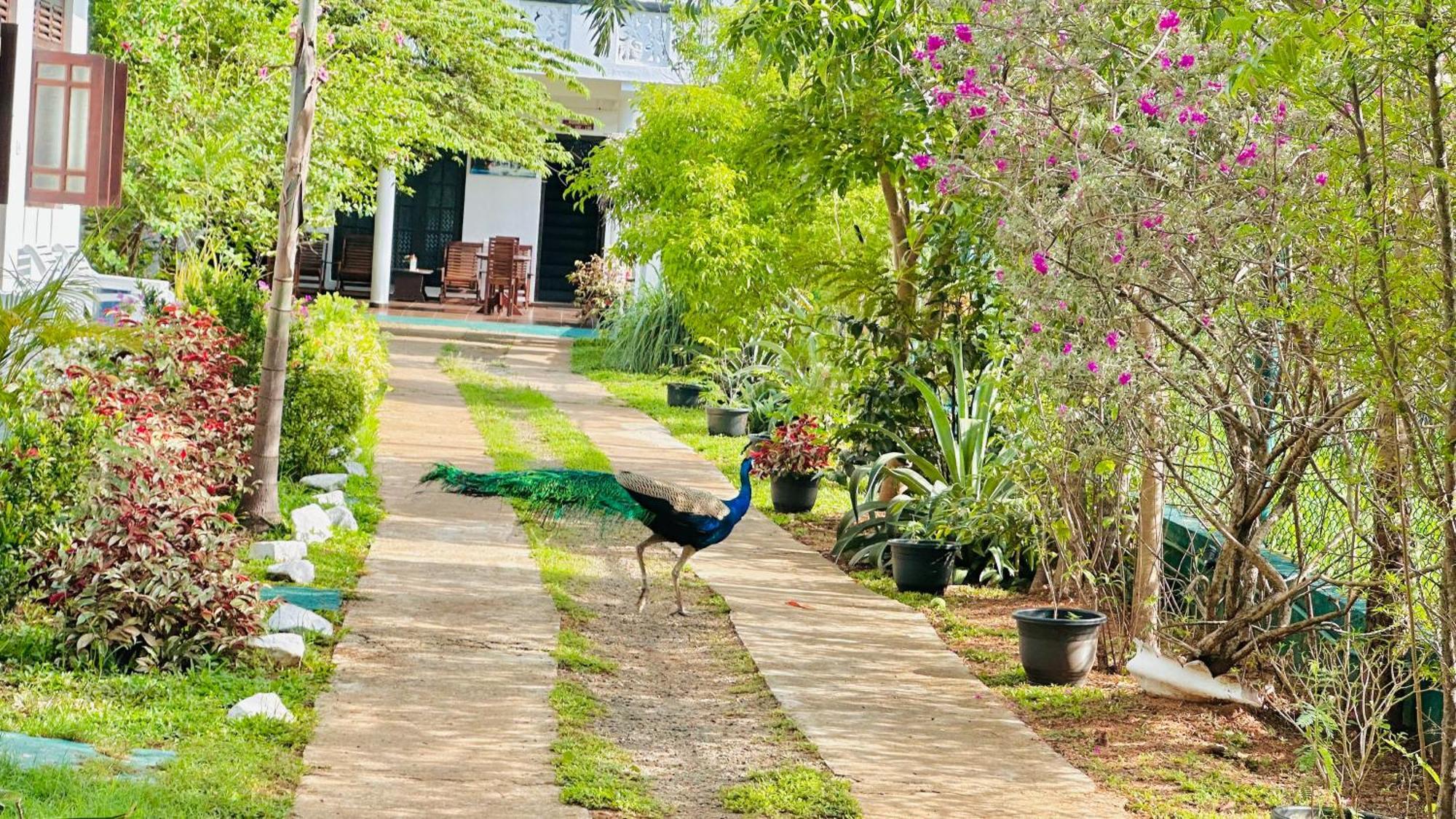 New Peacock Resort ดัมบูลลา ภายนอก รูปภาพ
