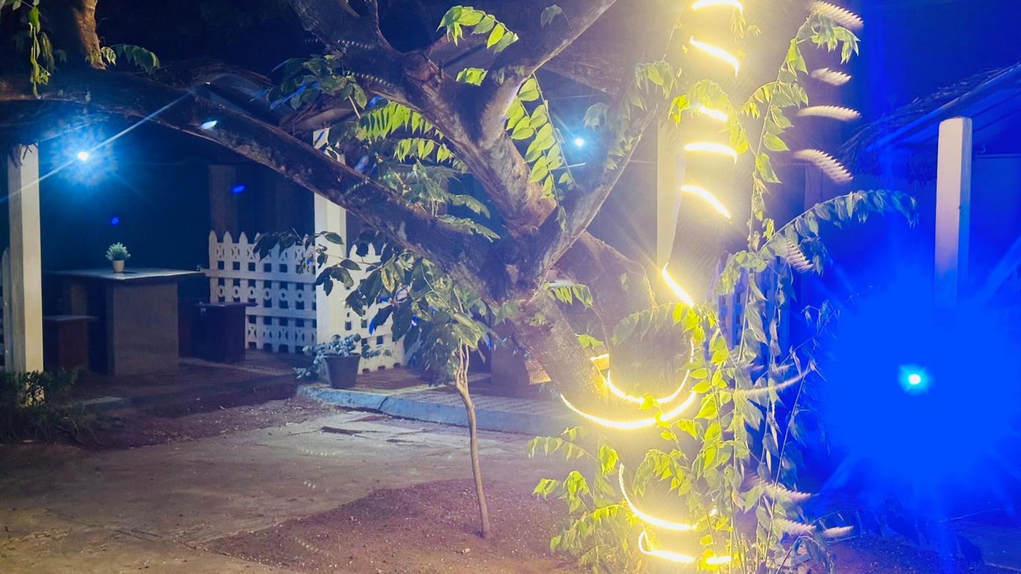 New Peacock Resort ดัมบูลลา ภายนอก รูปภาพ