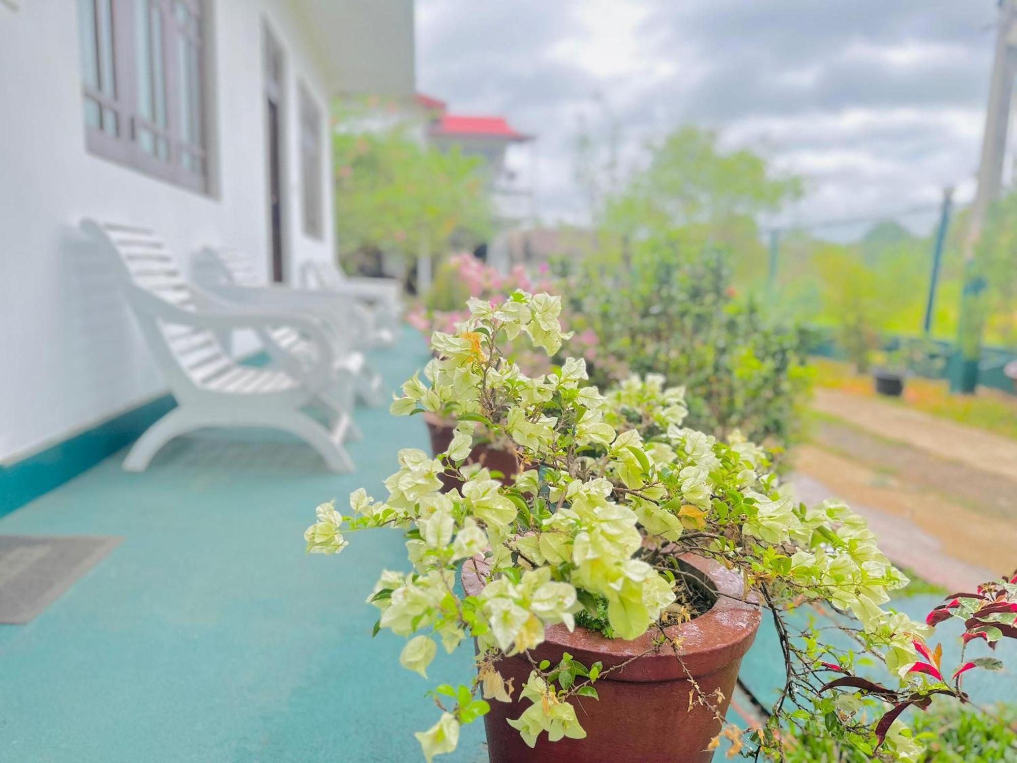 New Peacock Resort ดัมบูลลา ภายนอก รูปภาพ