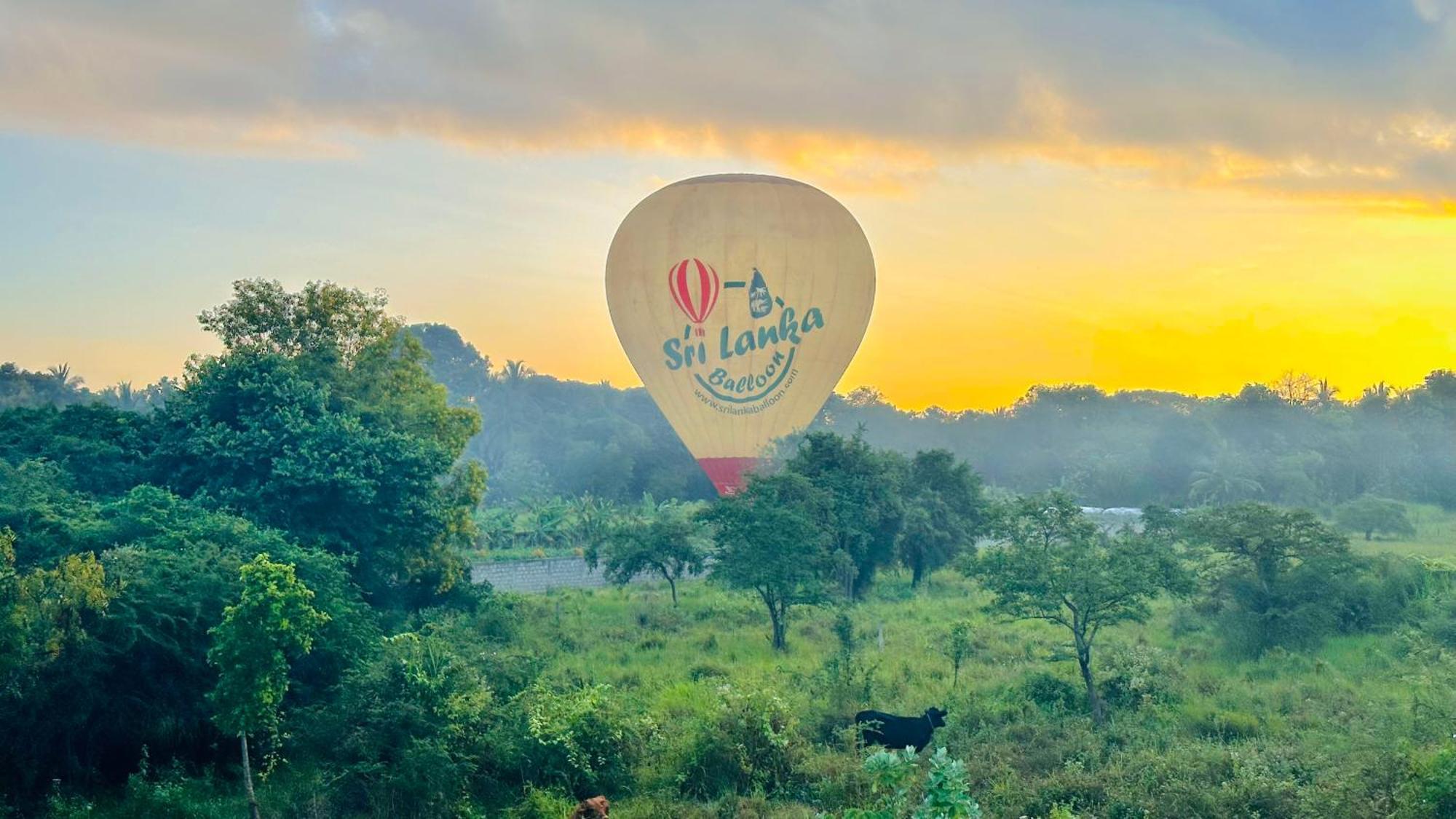 New Peacock Resort ดัมบูลลา ภายนอก รูปภาพ